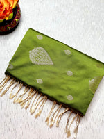 Load image into Gallery viewer, Soft Silk Saree  - Sushi Green + Quill Gray

