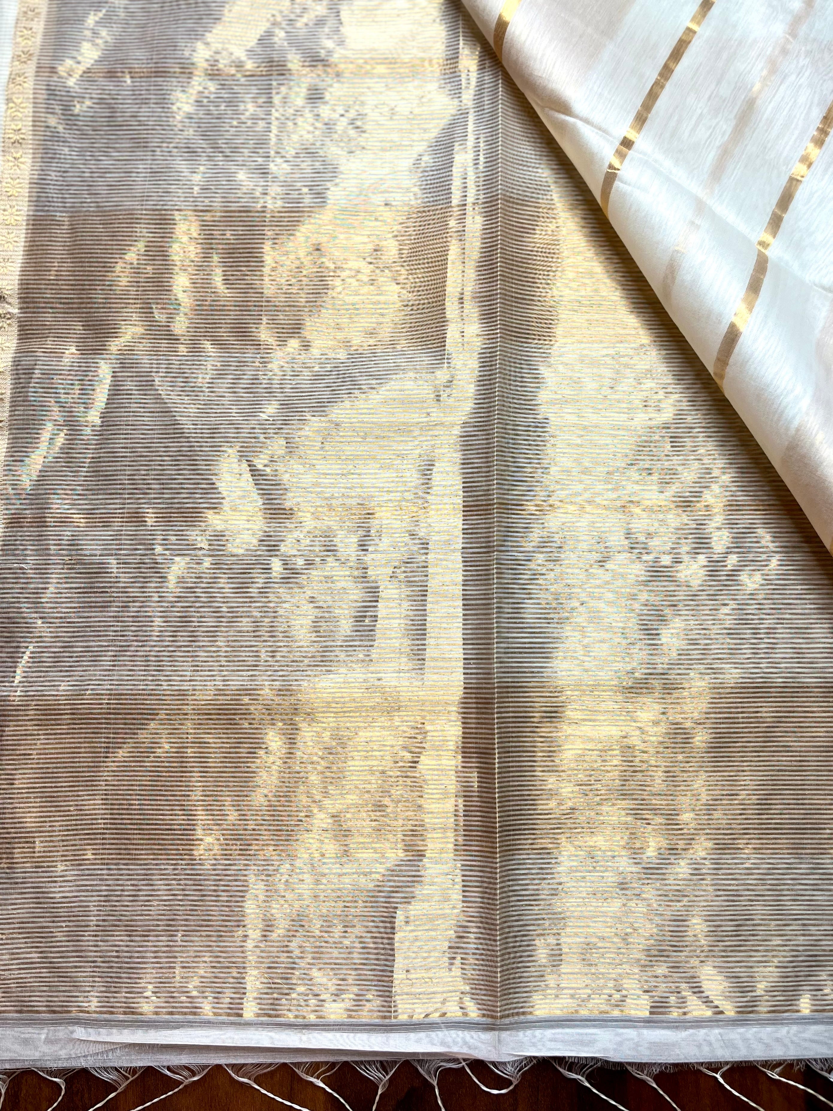 Handwoven Silk Cotton Saree - Cream + Gold
